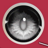 Elsa Babe 蝶野未梦 RAD041ヘッド アニメ風ラブドール 紫ロングヘア ビッグアイ 八重歯フェイスの萌え系美少女ドール 140cm-M ボディー素材選択可能