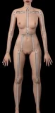 Yuluoclub（御蘿社）【Normalシリーズ】147cm Bカップ 伊涵 フルシリコン製 セクシー衣装 小悪魔 ラブドール カスタマイズ可能