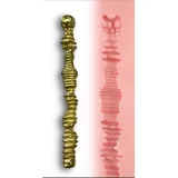 Yuluoclub（御蘿社）【Normalシリーズ】147cm Bカップ 伊涵 フルシリコン製 セクシー衣装 小悪魔 ラブドール カスタマイズ可能