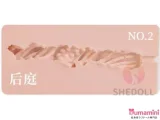 SHEDOLL 新作 70cm Eカップ トルソー  兮沅(Xiyuan)ヘッド ラブドール 掲載画像シリコン頭部＋TPEボディ ダッチワイフ