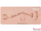 SHEDOLL TPE&シリコン製ラブドール ボディ単体販売ページ