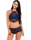 Sexy Lace See Through Halter Lingerie Bra Sets YQ-379