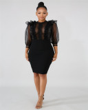Sexy Mesh See Through Ruffles Bodycon Dresses LA-3099