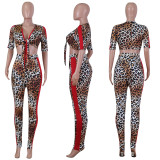 Sexy Leopard Print Tie Up Crop Top And Long Pants Suits NIK-039