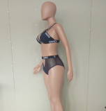 Letter Print Mesh Two Piece Swimsuit LSL-6130