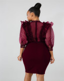 Sexy Mesh See Through Ruffles Bodycon Dresses LA-3099