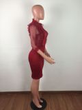 Sexy Mesh See Through Ruffles Bodycon Dresses LA-3099