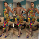Sexy Printed Off Shoulder Backless Bodycon Midi Dresses HM-6147