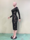 Sexy Lace V Neck Long Sleeve Bodycon Midi Dress BGN-012