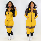 Casual Mesh Patchwork Hooded Tracksuit 2 Piece Set TR-963