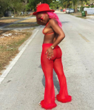 Chiffon Sexy 4 Pieces Set Crop Tops+Pants+Bra+Panty BN-9152
