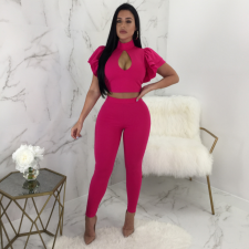Puff Sleeve Hollow Out Crop Top Skinny Pants BN-9066