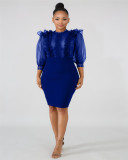 Sexy Mesh See Through Ruffles Bodycon Dresses LA-3099