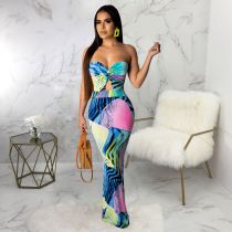 Sexy Printed Strapless Bodycon Maxi Dresses SMR-9212