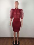 Sexy Mesh See Through Ruffles Bodycon Dresses LA-3099