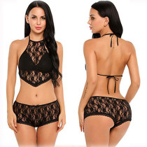 Sexy Lace See Through Halter Lingerie Bra Sets YQ-379