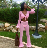 Chiffon Sexy 4 Pieces Set Crop Tops+Pants+Bra+Panty BN-9152