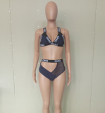 Letter Print Mesh Two Piece Swimsuit LSL-6130
