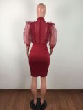 Sexy Mesh See Through Ruffles Bodycon Dresses LA-3099