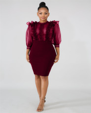 Sexy Mesh See Through Ruffles Bodycon Dresses LA-3099