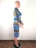 Sexy Snake Skin Print Bodycon Midi Dresses LA-3071