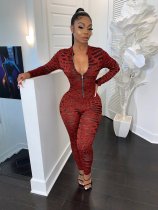 Sexy Printed Long Sleeve Front Zipper Skinny Jumpsuits CH-8073