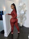 Sexy Printed Long Sleeve Front Zipper Skinny Jumpsuits CH-8073