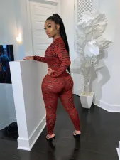 Sexy Printed Long Sleeve Front Zipper Skinny Jumpsuits CH-8073