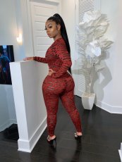Sexy Printed Long Sleeve Front Zipper Skinny Jumpsuits CH-8073