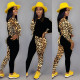 Leopard Print Patchwork Casual Two Piece Sets BN-9211