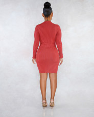 Solid Long Sleeves High Collar Slim Mini Dress LSL-6320