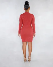 Solid Long Sleeves High Collar Slim Mini Dress LSL-6320