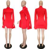 Sexy Long Flare Sleeve Turtleneck Bodycon Mini Dress LSL-6330
