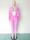 Sexy Fuzzy 3 Piece Sets Hooded Top+Bra+Pants BN-9223