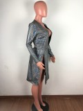 Sexy Deep V Neck Long Sleeve Split Club Dress OSM-5363