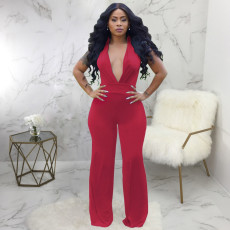 Sexy Deep-V Bodycon Jumpsuit SMR-9543