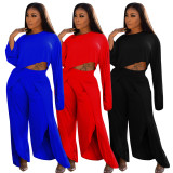 Solid Long Sleeve Wide Leg Pants Two Piece Sets NK-8524