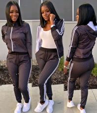 Casual Zipper Hooded Two Piece Pants Set SMD-7022