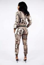 Snake Print Two Piece Pant Suit HMS-5180