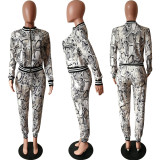 Snake Print Two Piece Pant Suit HMS-5180