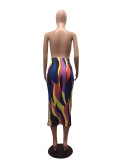 Colorful Strip High Waist Slim Long Skirt CHY-1055