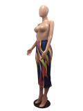 Colorful Strip High Waist Slim Long Skirt CHY-1055