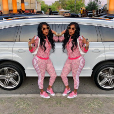 Plus Size Floral Print Zipper Long Sleeve 2 Piece Pants Set LSD-8193