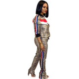 Casual Tracksuit Zipper Long Sleeve 2 Piece Sets SFY-063