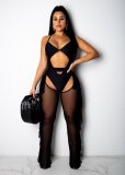 Sexy Mesh See Through Swimsuit 2 Piece Set SFY-018