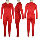 Solid Tracksuit Hooded Zipper 2 Piece Pants Set TE-3833