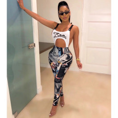 Sexy Sling Print Jumpsuit CHY-1193
