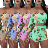 Plus Size Floral Print Slash Neck Two Piece Shorts Set BN-B9892