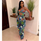 Sexy Mesh Cartoon Print One Piece Bikinis With Pants SFY-109