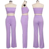 Solid Tube Tops Long Pants Sexy Two Piece Suits SMR-9613